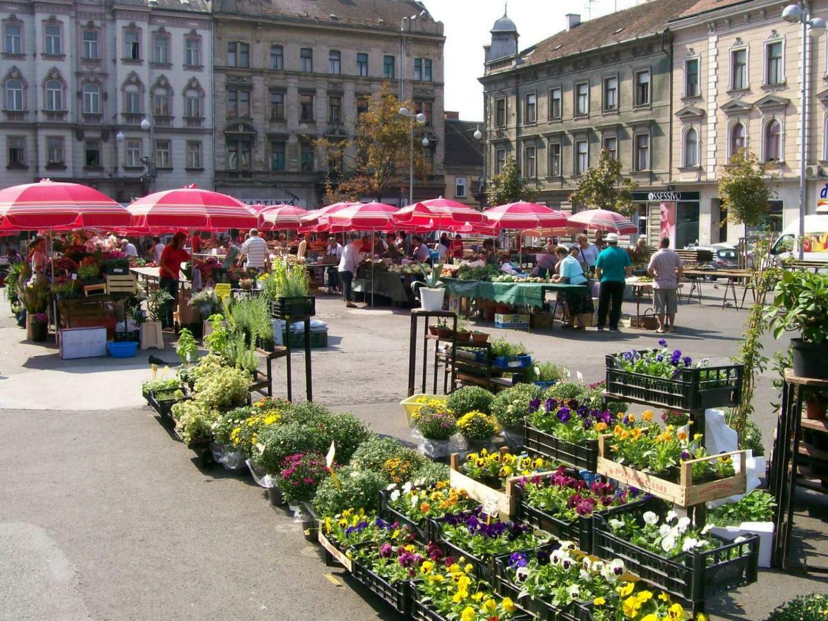 Apartment Zelengaj Zagreb